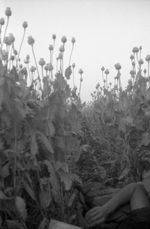 Carretera anegada bajo un puente moderno tras una tormenta